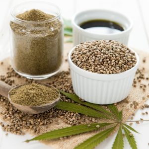 hemp shop protein foods india